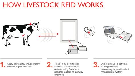 how do i find the tag of rfid|rfid tags for livestock.